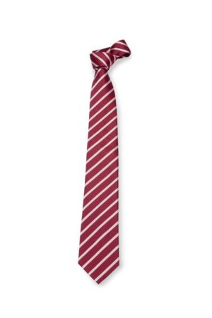 Cravatta uomo Rigata - immagine 6