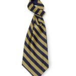 Cravattino Ascot fantasia