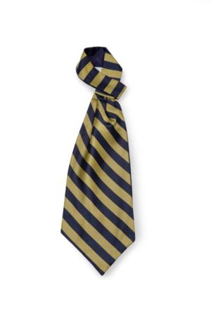 Cravattino Ascot fantasia
