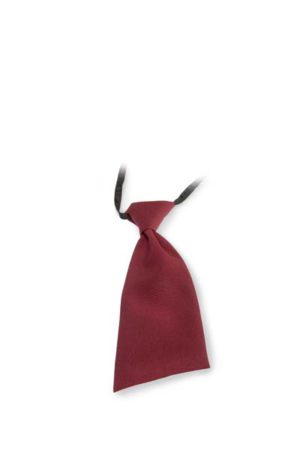 Cravattino donna Allacciatura Con Velcro - immagine 2