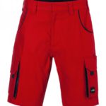 Workwear Berbudas - COLOR -